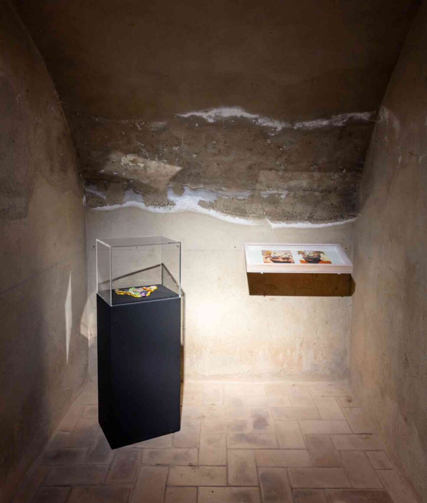 Bodega 3